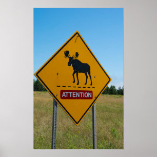 Moose Warning Sign
