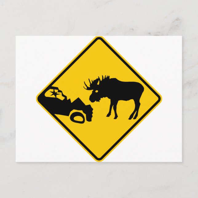 Moose Warning Sign from Gros Morne National Park Postcard (Front)