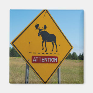 Moose Warning Sign Magnet