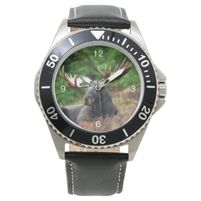 Moose Watch (Front)