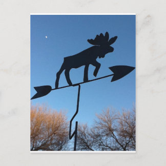 Moose weathervane postcard