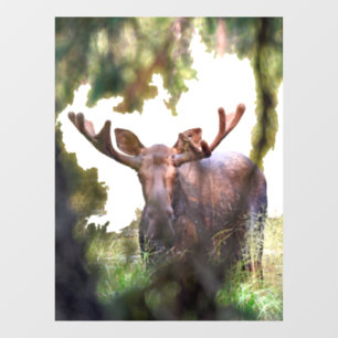 Moose Window Cling