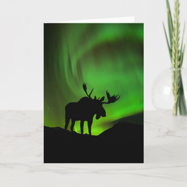 Moose with Green Aurora Borealis, Alaska Card (Front)