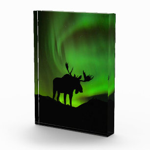Moose with Green Aurora Borealis, Alaska Photo Block