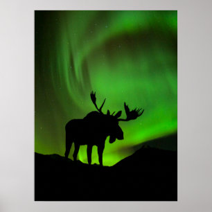 Moose with Green Aurora Borealis, Alaska Poster