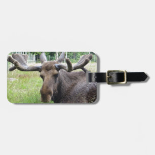 Moose WTF Luggage Tag