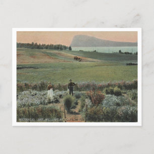 Moosehead Lake ME, Mt Kineo, Farm 1910 Postcard
