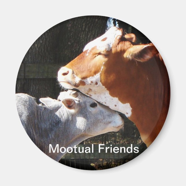 Mootual Friends Magnet (Front)