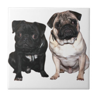 Mops Jack and Richi Ceramic Tile