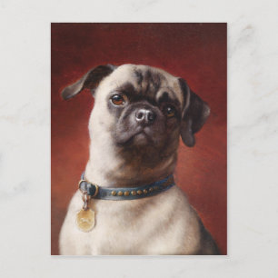 Mops Postcard