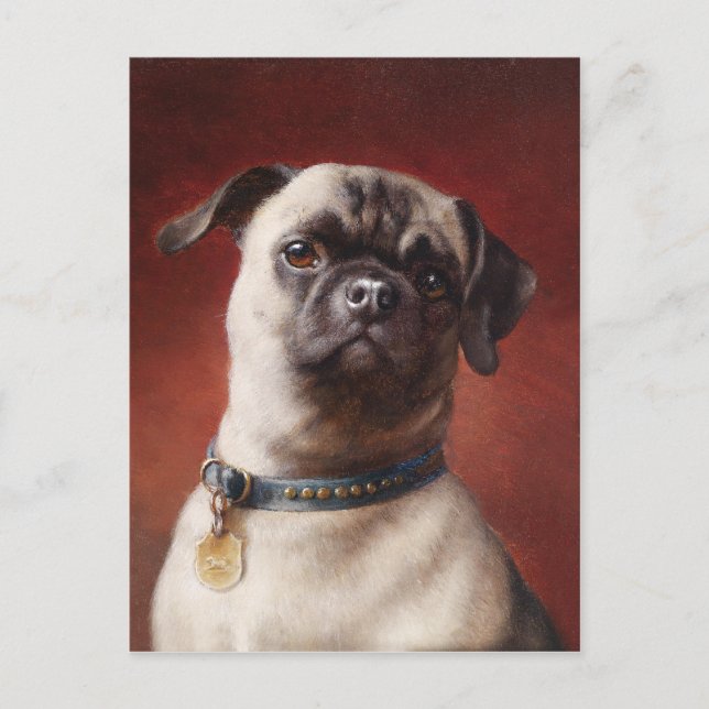 Mops Postcard (Front)