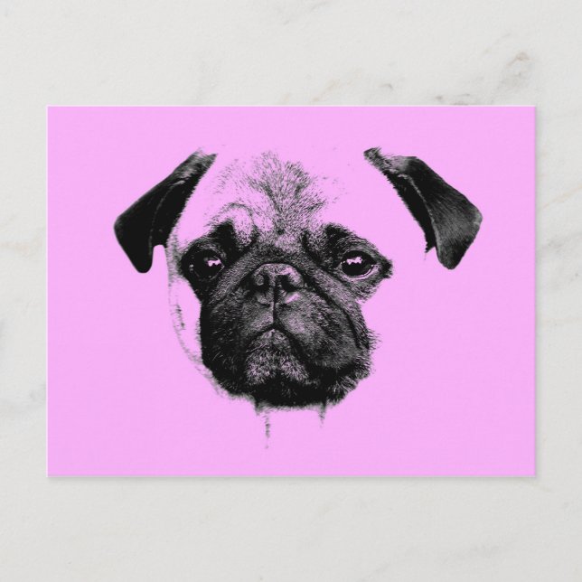 mops puppy pink postcard (Front)
