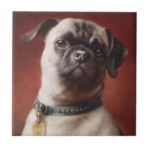 Mops Tile