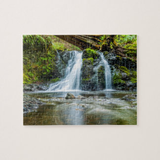Moran State Park, Olga, United States / Nature Jigsaw Puzzle