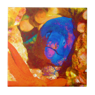 Moray Eel Ceramic Tile