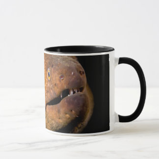 Moray Eel Mug