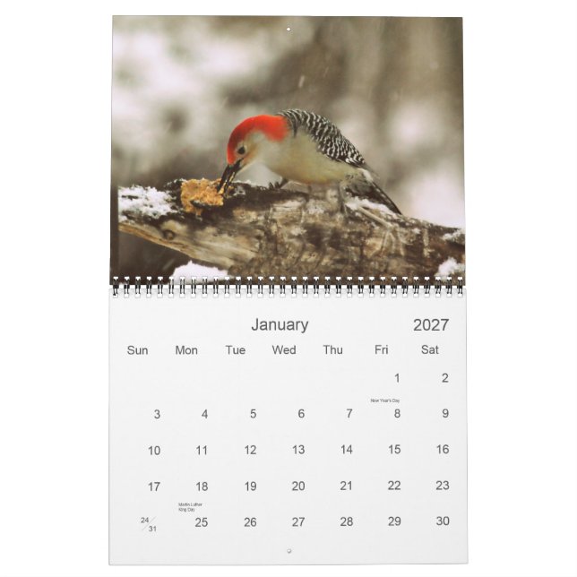 More Birds in Your Backyard Calendar 2013 (Jan 2027)