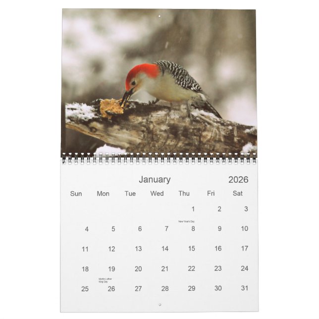 More Birds in Your Backyard Calendar 2013 (Jan 2026)
