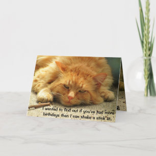 More Birthdays Than You Can Shake a Stick At Card