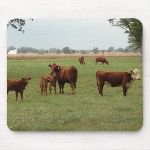 more brown cows mouse pad