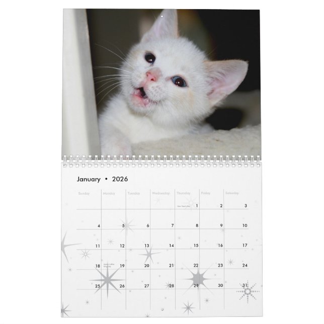 More kittens! calendar (Jan 2026)