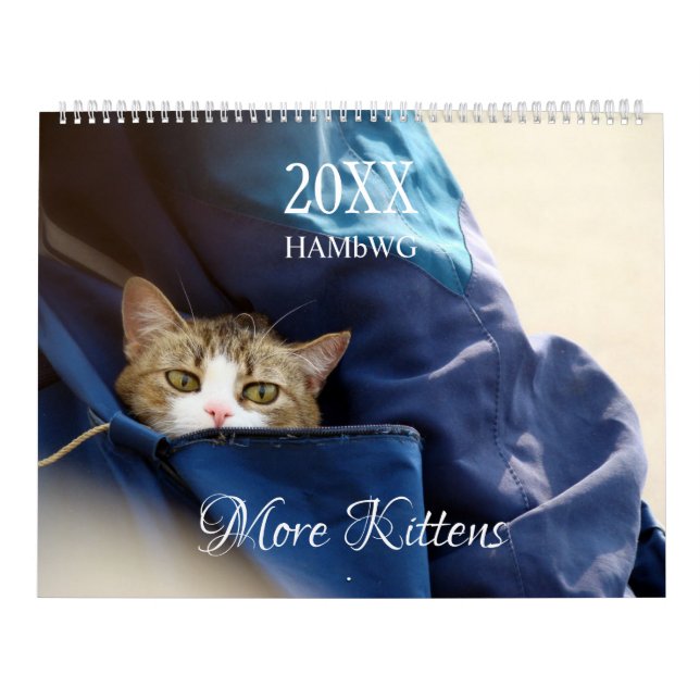 More Kittens Wall Calendar - HAMbyWG (Cover)