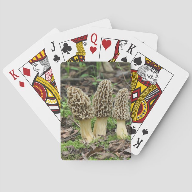 More Morels Playing Cards (Back)