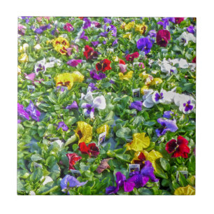 More Pansies Ceramic Tile