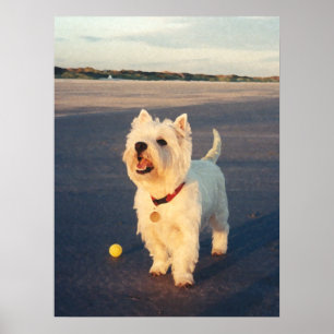 More Please! Westie Ball Poster