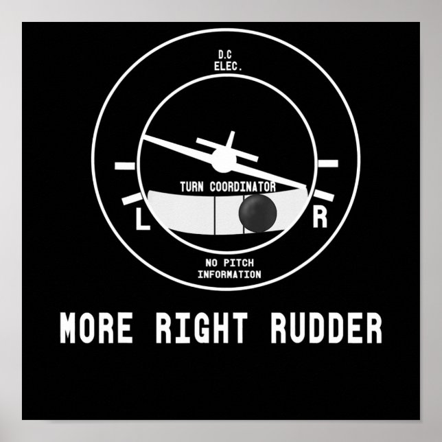 More Right Rudder Cfi Flight Instructor Pilot Gift Poster (Front)