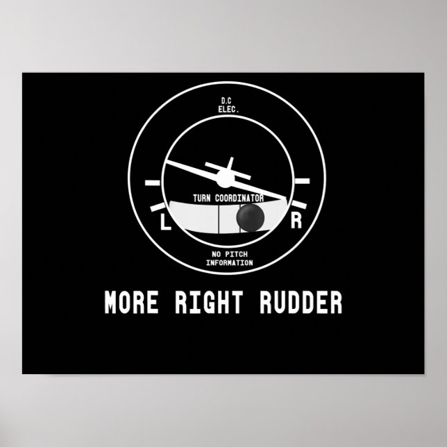 More Right Rudder Cfi Flight Instructor Pilot Gift Poster (Front)