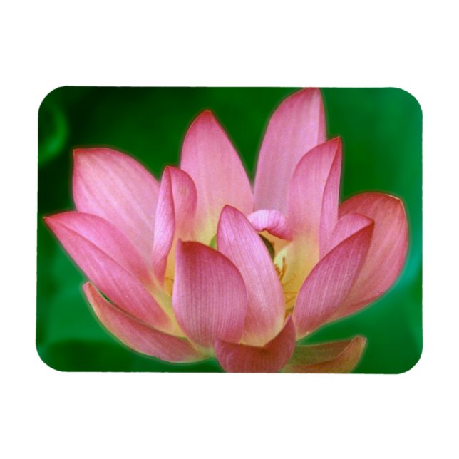 More than a Dream Magnet (Horizontal)