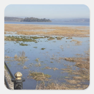 Morecambe Bay High Tide Sticker