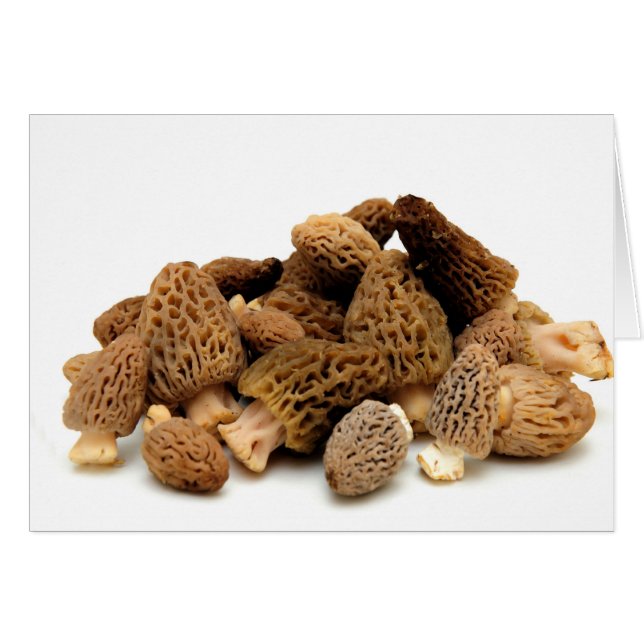Morel Mushroom (Front Horizontal)