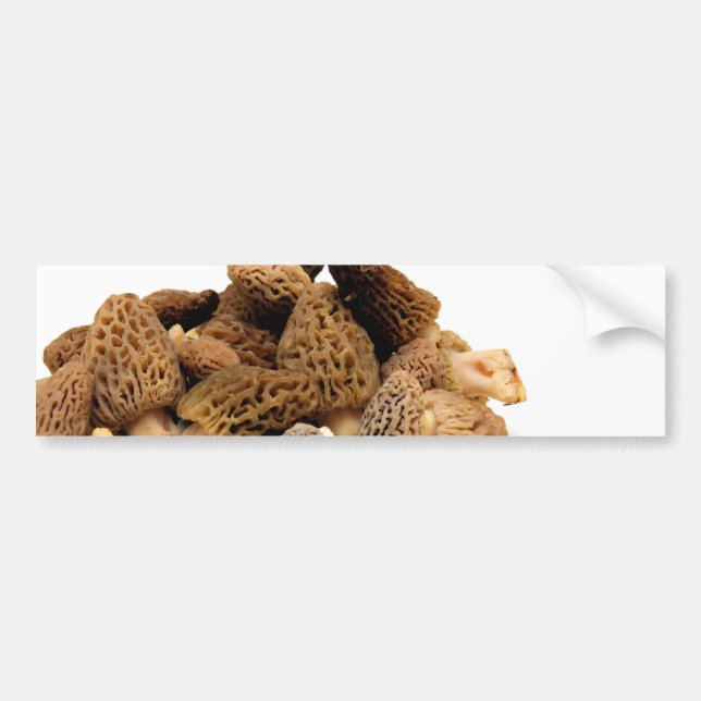 Morel Mushroom Bumper Sticker (Front)