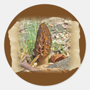 Morel Mushroom Classic Round Sticker
