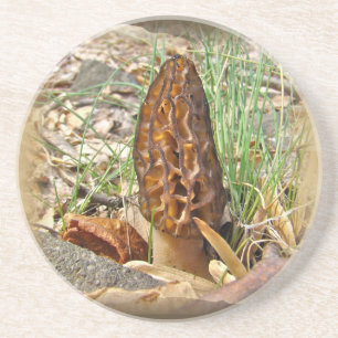 Morel Mushroom Coaster