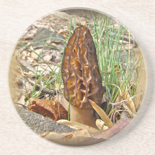 Morel Mushroom Coaster (Front)