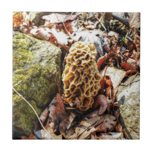 Morel Mushroom in the Wild Ceramic Tile