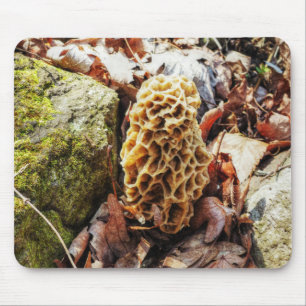 Morel Mushroom in the Wild Mouse Pad
