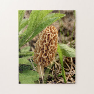 Morel Mushroom Jigsaw Puzzle