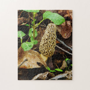 Morel Mushroom Jigsaw Puzzle 