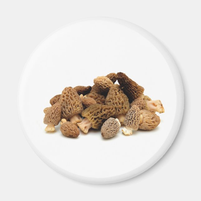 Morel Mushroom Magnet (Front)