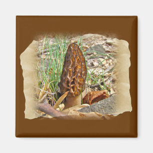 Morel Mushroom Magnet