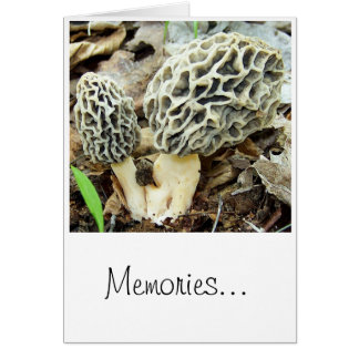 Morel Mushroom Memories