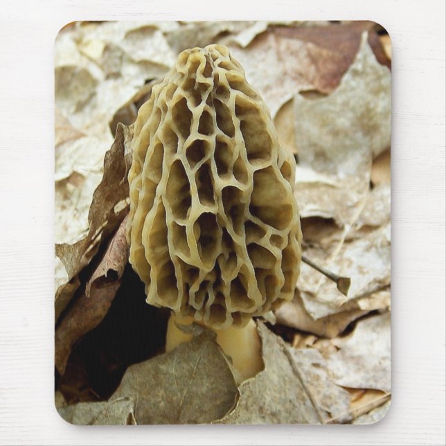Morel Mushroom Mouse Pad (Front)