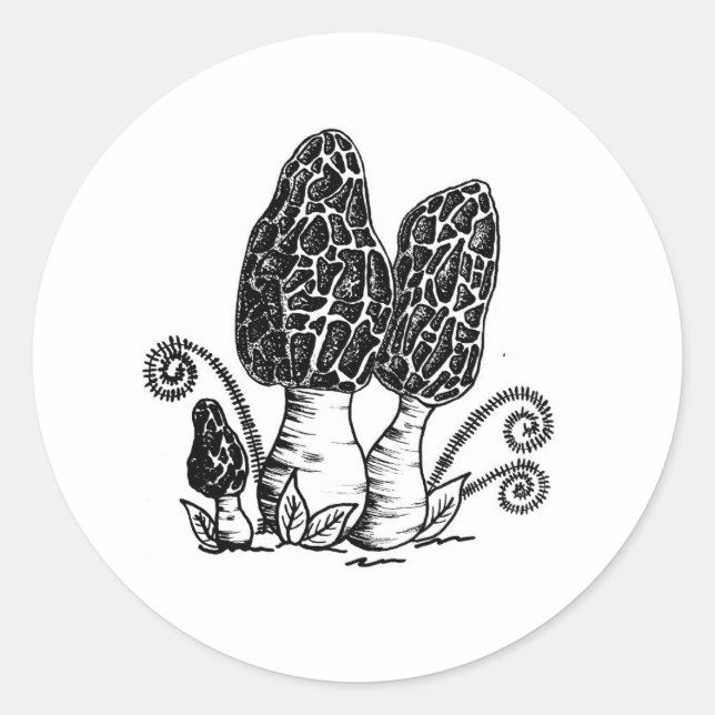 Morel Mushroom Stickers (Front)