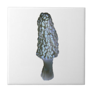 morel mushroom tile