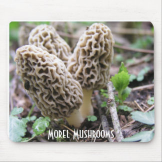 Morel Mushrooms Mousepad