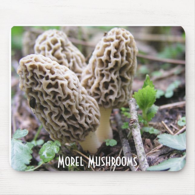 Morel Mushrooms Mousepad (Front)